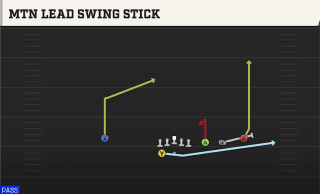 Mtn Lead Swing Stick play art