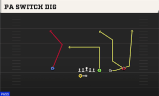 PA Switch Dig play art