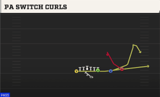 PA Switch Curls play art
