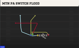 Mtn PA Switch Flood play art
