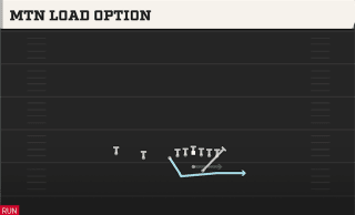 Mtn Load Option play art