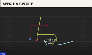 Mtn PA Sweep play art