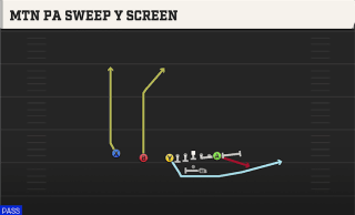 Mtn PA Sweep Y Screen play art
