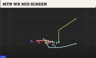 Mtn WR Mid Screen play art