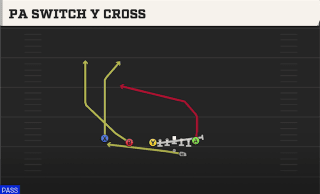 PA Switch Y Cross play art