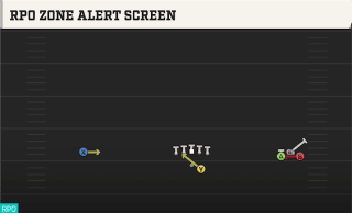 RPO Zone Alert Screen play art