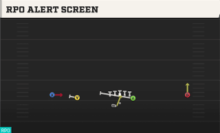 RPO Alert Screen play art