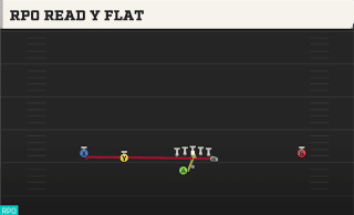 RPO Read Y Flat play art
