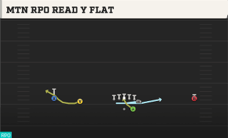 Mtn RPO Read Y Flat play art