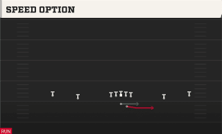 Speed Option play art