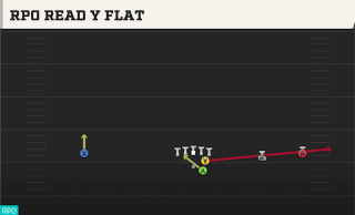 RPO Read Y Flat play art