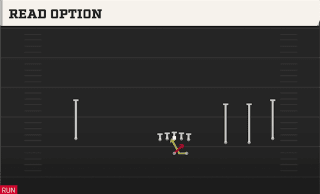 Read Option play art