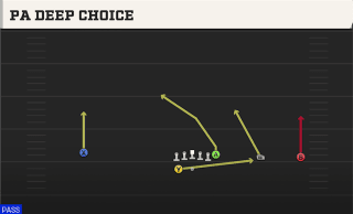 PA Deep Choice play art