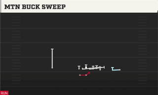 Mtn Buck Sweep play art