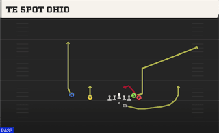 TE Spot Ohio play art