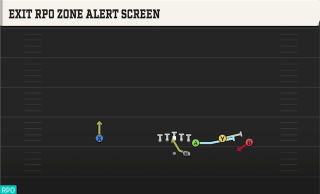 Exit RPO Zone Alert Screen play art
