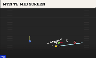 Mtn TE Mid Screen play art