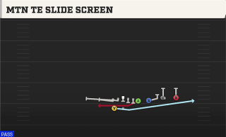 Mtn TE Slide Screen play art