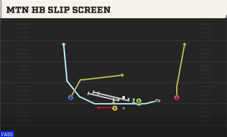 Mtn HB Slip Screen play art