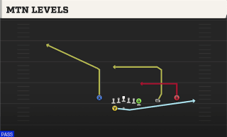 Mtn Levels play art
