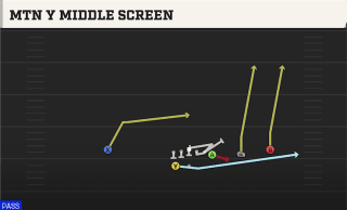 Mtn Y Middle Screen play art