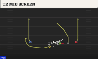 TE Mid Screen play art