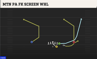 Mtn PA Fk Screen Whl play art