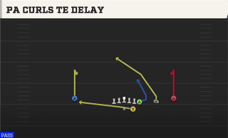 PA Curls TE Delay play art