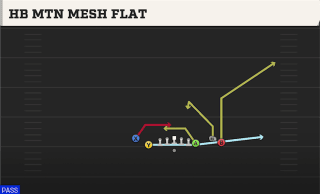 HB Mtn Mesh Flat play art
