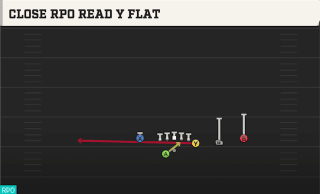 Close RPO Read Y Flat play art