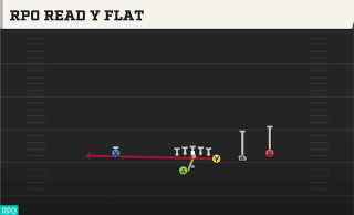 RPO Read Y Flat play art
