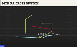 Mtn PA Cross Switch play art