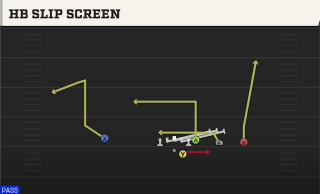 HB Slip Screen play art