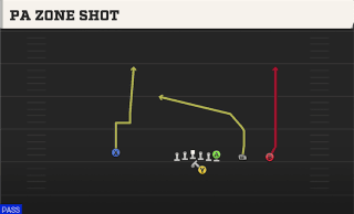 PA Zone Shot play art