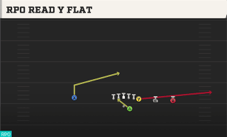 RPO Read Y Flat play art
