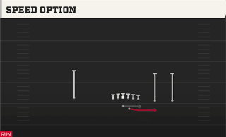 Speed Option play art