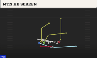 Mtn HB Screen play art
