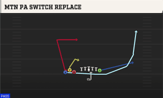 Mtn PA Switch Replace play art
