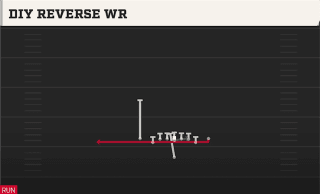 Diy Reverse WR play art