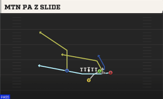 Mtn PA Z Slide play art