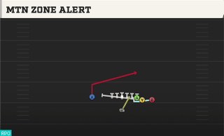Mtn Zone Alert play art
