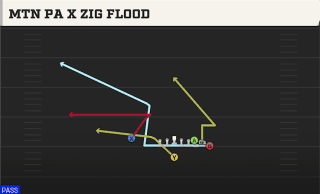 Mtn PA X Zig Flood play art