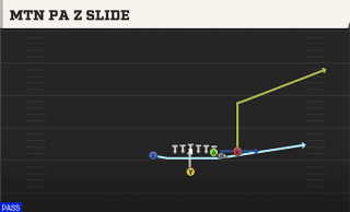 Mtn PA Z Slide play art