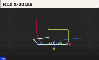 Mtn X-Go Dig play art