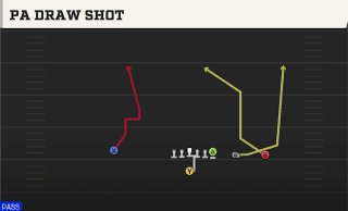 PA Draw Shot play art