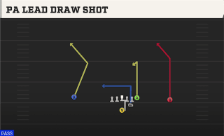 PA Lead Draw Shot play art