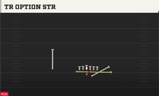 Tr Option STR play art