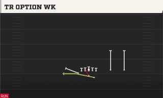 Tr Option WK play art