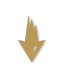 Bronze tier badge