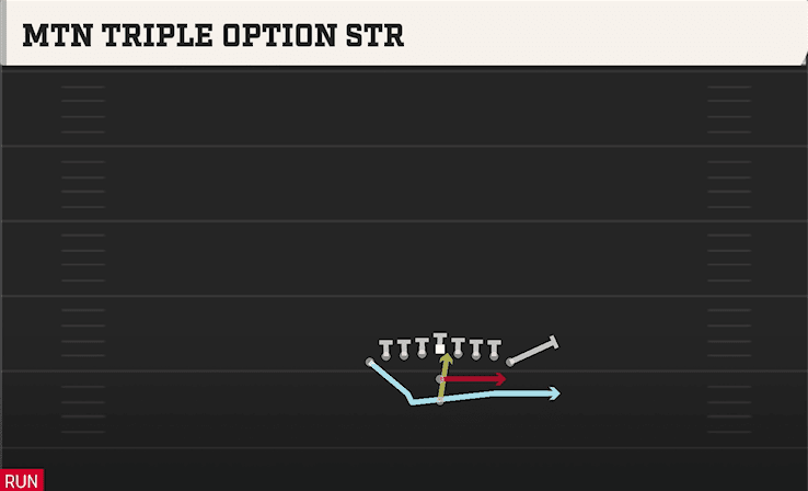 Mtn Triple Option STR play art from Pistol Ace Double Wing in CFB 27